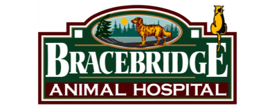 Bracebridge Animal Hospital 7121 - Logo